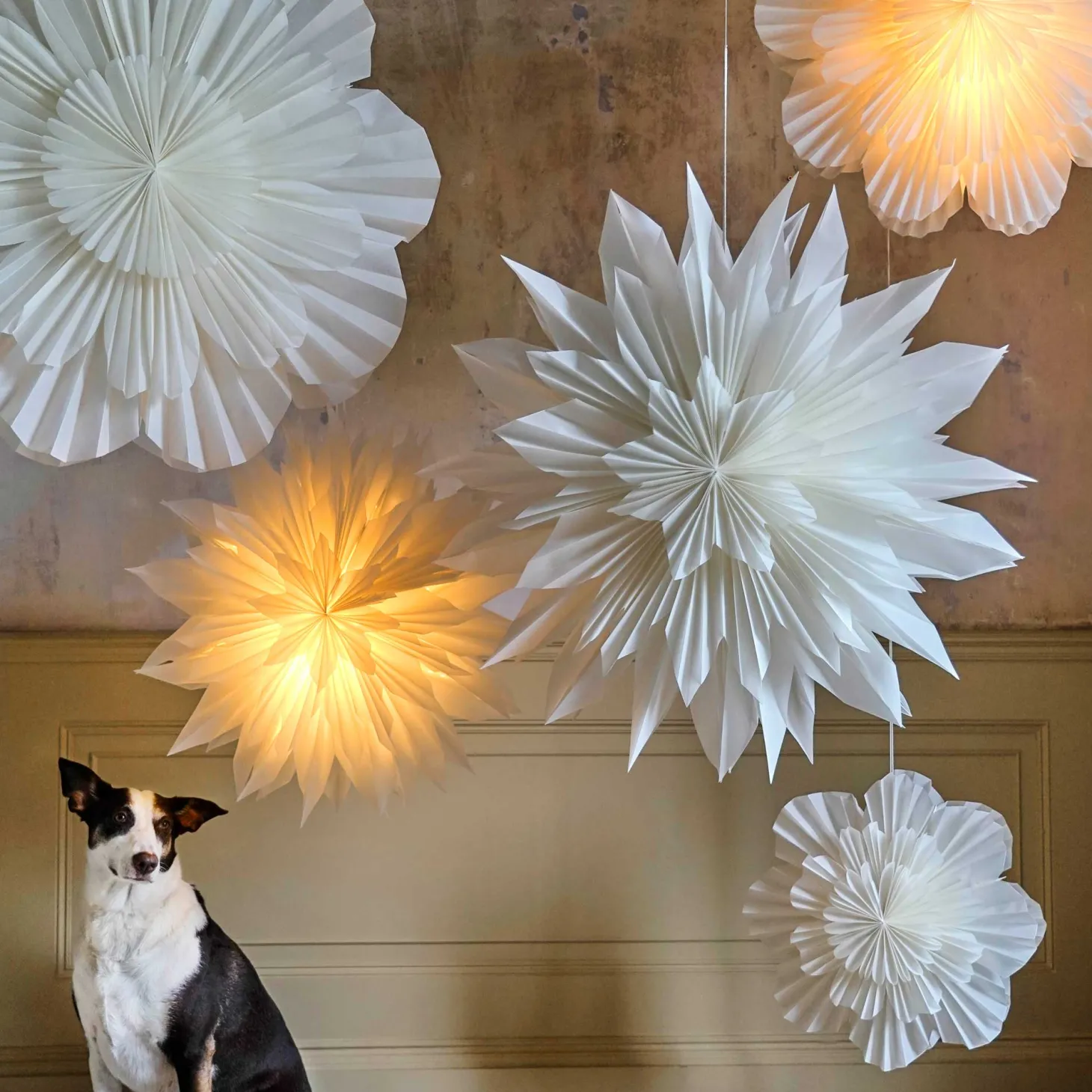 Paper Shades