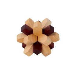 Parietal Lobe Brain Puzzle