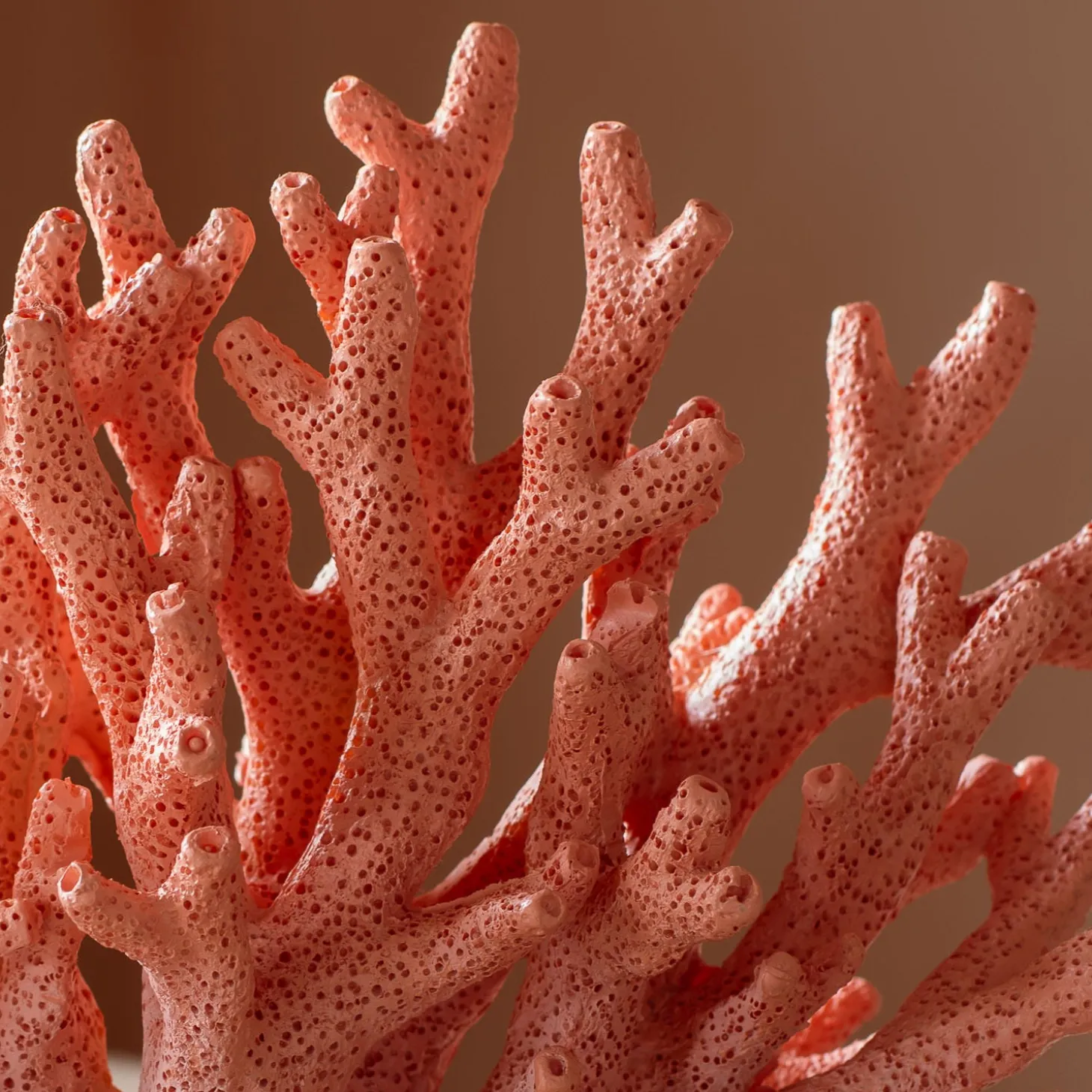 Pink Faux Coral Ornament