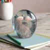 Pink Jellyfish Paperweight
