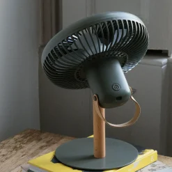 Portable Desk Fans with Lights