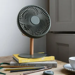 Portable Desk Fans with Lights