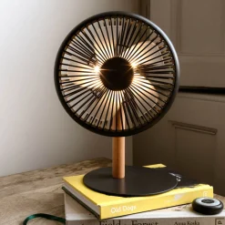 Portable Desk Fans with Lights