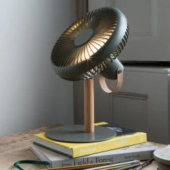 Portable Desk Fans with Lights
