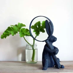 Rabbit Magnifying Glass