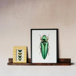 Recycled Wood Photo Shelf