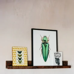 Recycled Wood Photo Shelf