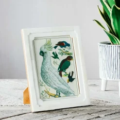 Relief White Bone Frame