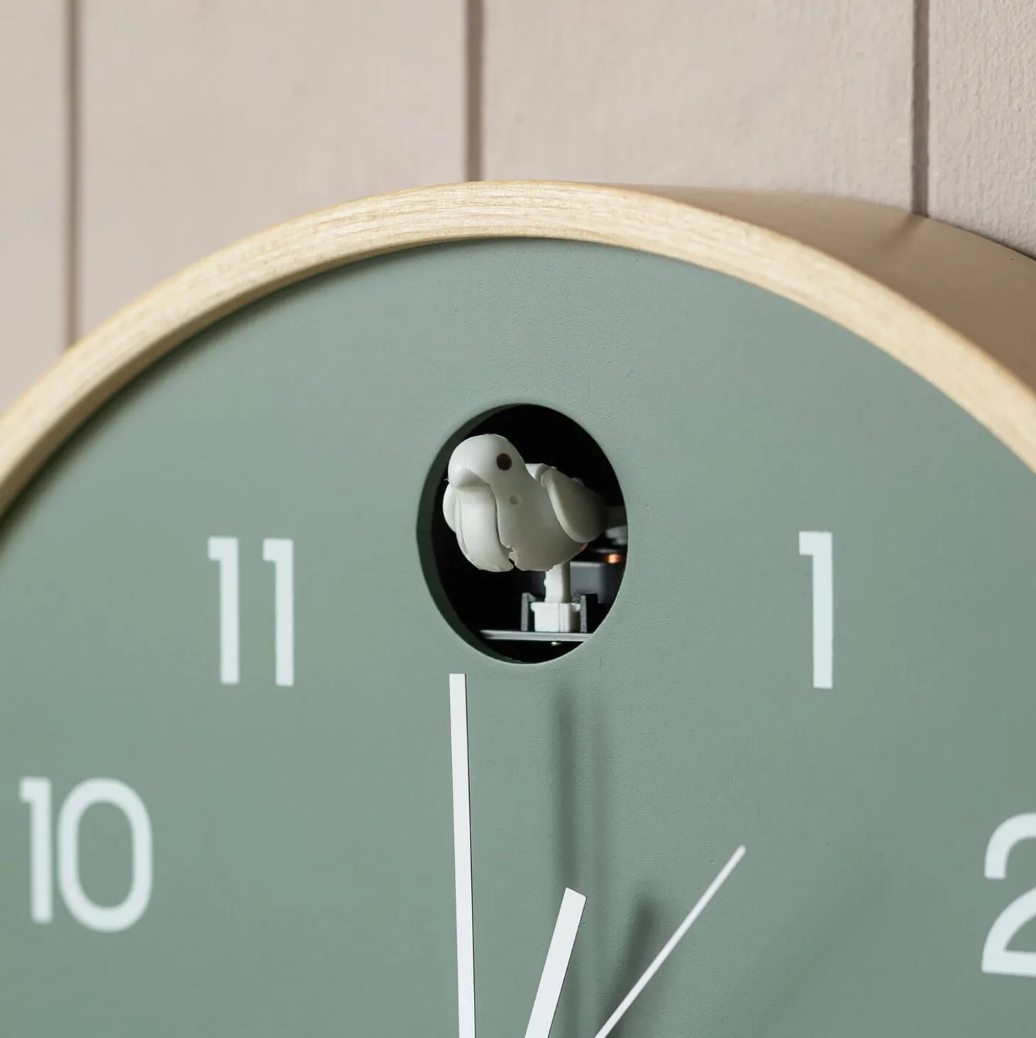 Round Birch and Green Wall Cuckoo Clock