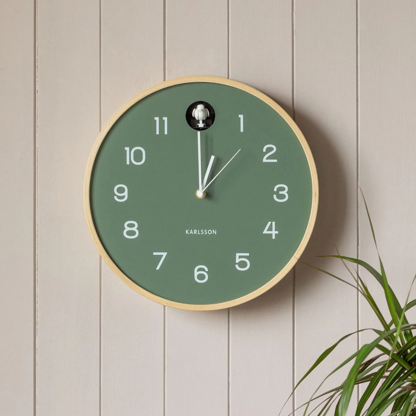 Round Birch and Green Wall Cuckoo Clock