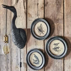 Round Framed Bird Prints