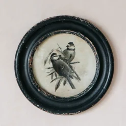 Round Framed Bird Prints