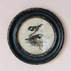 Round Framed Bird Prints