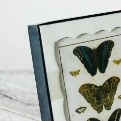 Scalloped Bone and Horn Frame