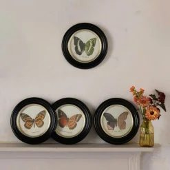 Set of Four Butterfly Prints