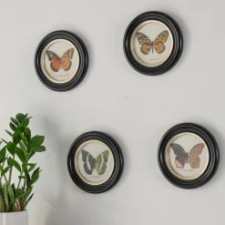 Set of Four Butterfly Prints