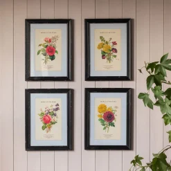 Set of Four Framed Vintage Flower Prints