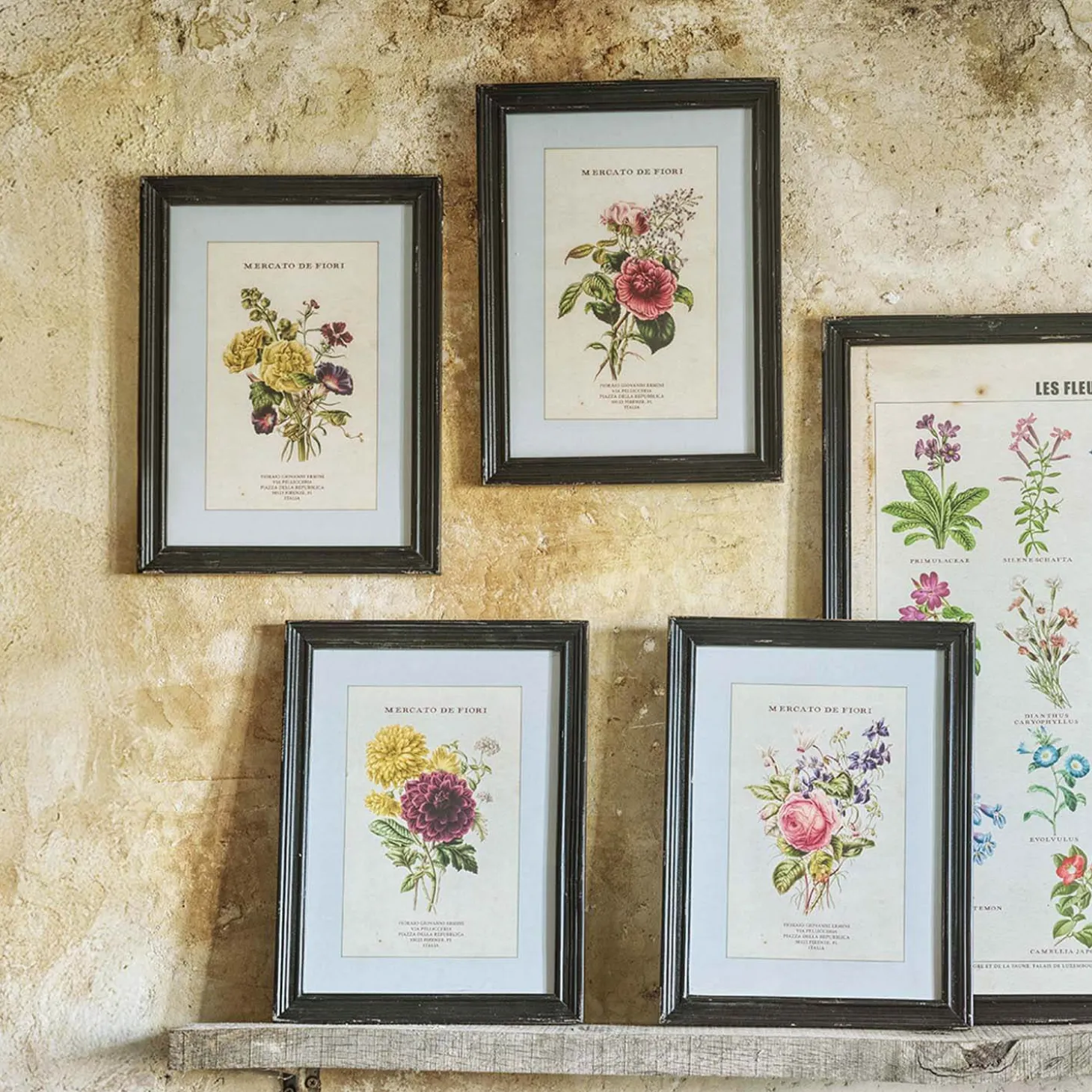 Set of Four Framed Vintage Flower Prints