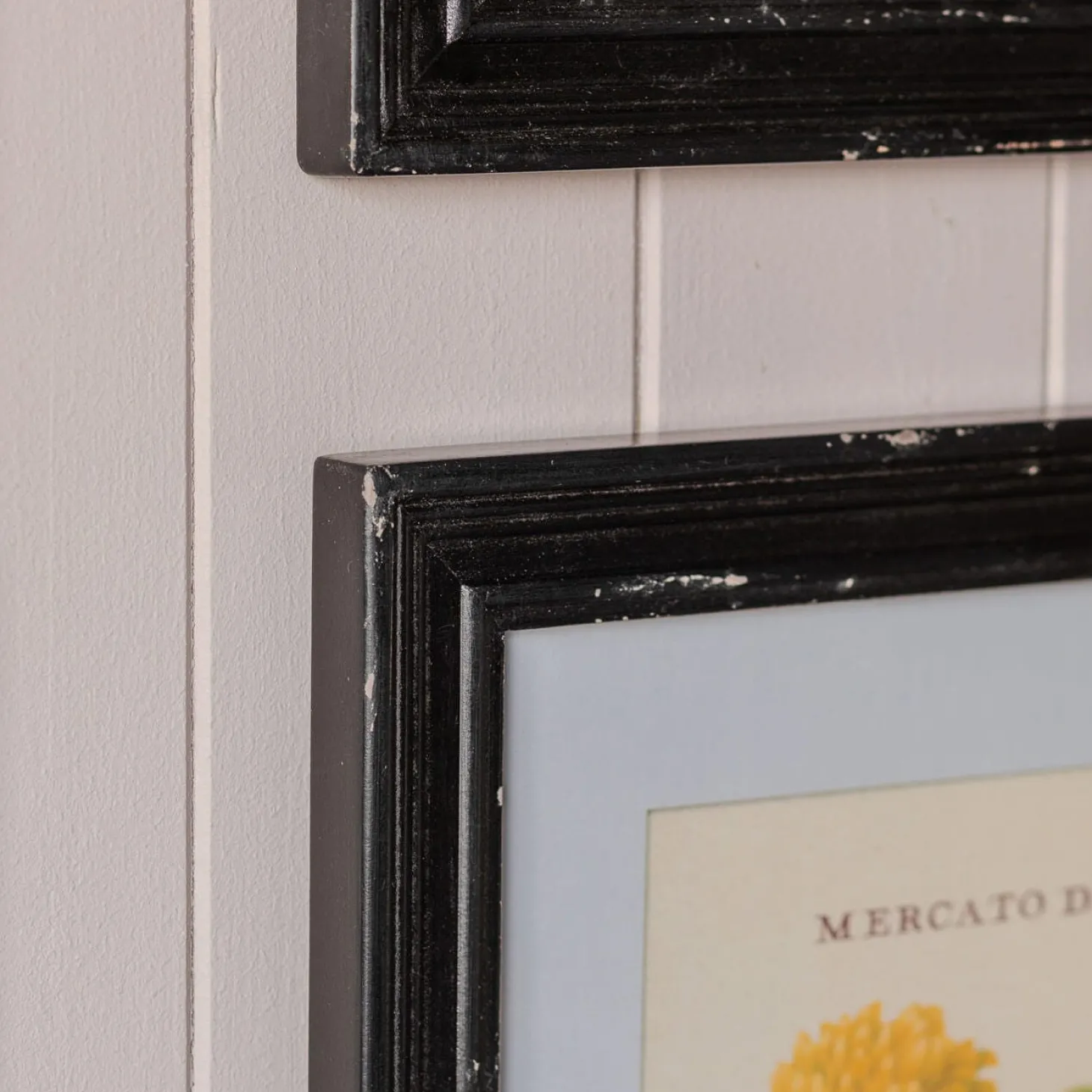 Set of Four Framed Vintage Flower Prints