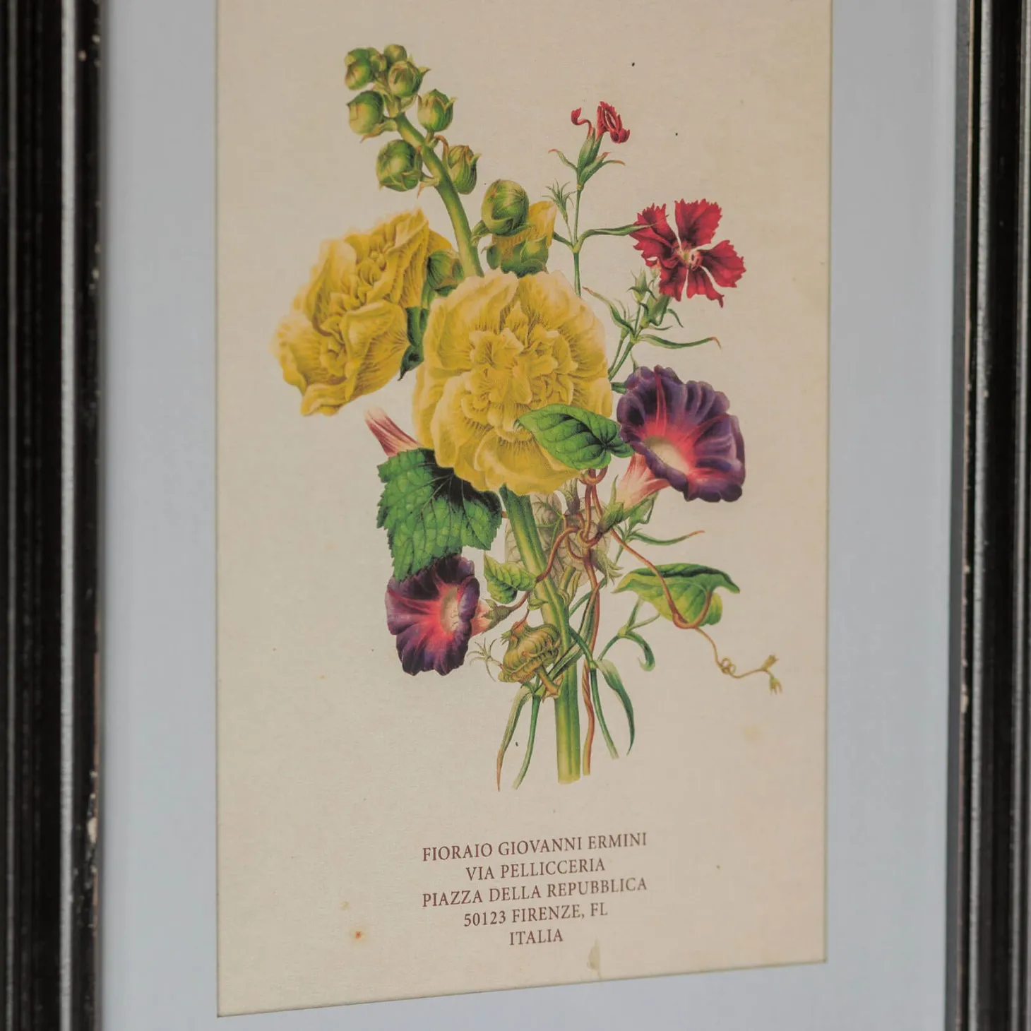 Set of Four Framed Vintage Flower Prints