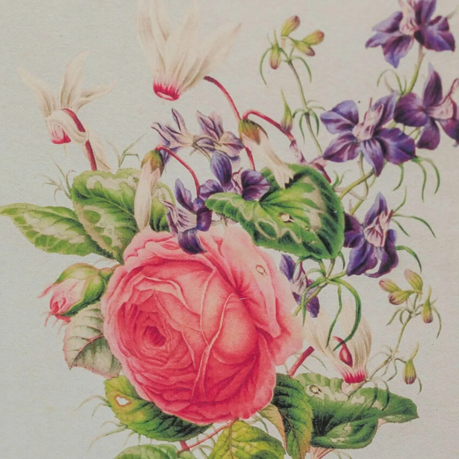 Set of Four Framed Vintage Flower Prints