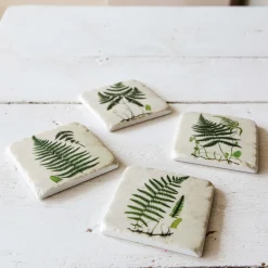 Set of Four Green Fern Coasters