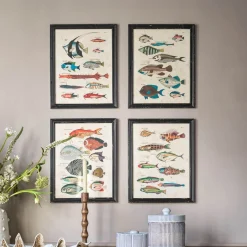 Set of Four Multicolour Fish Prints