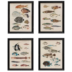 Set of Four Multicolour Fish Prints