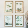 Set of Four Palm Tree Prints