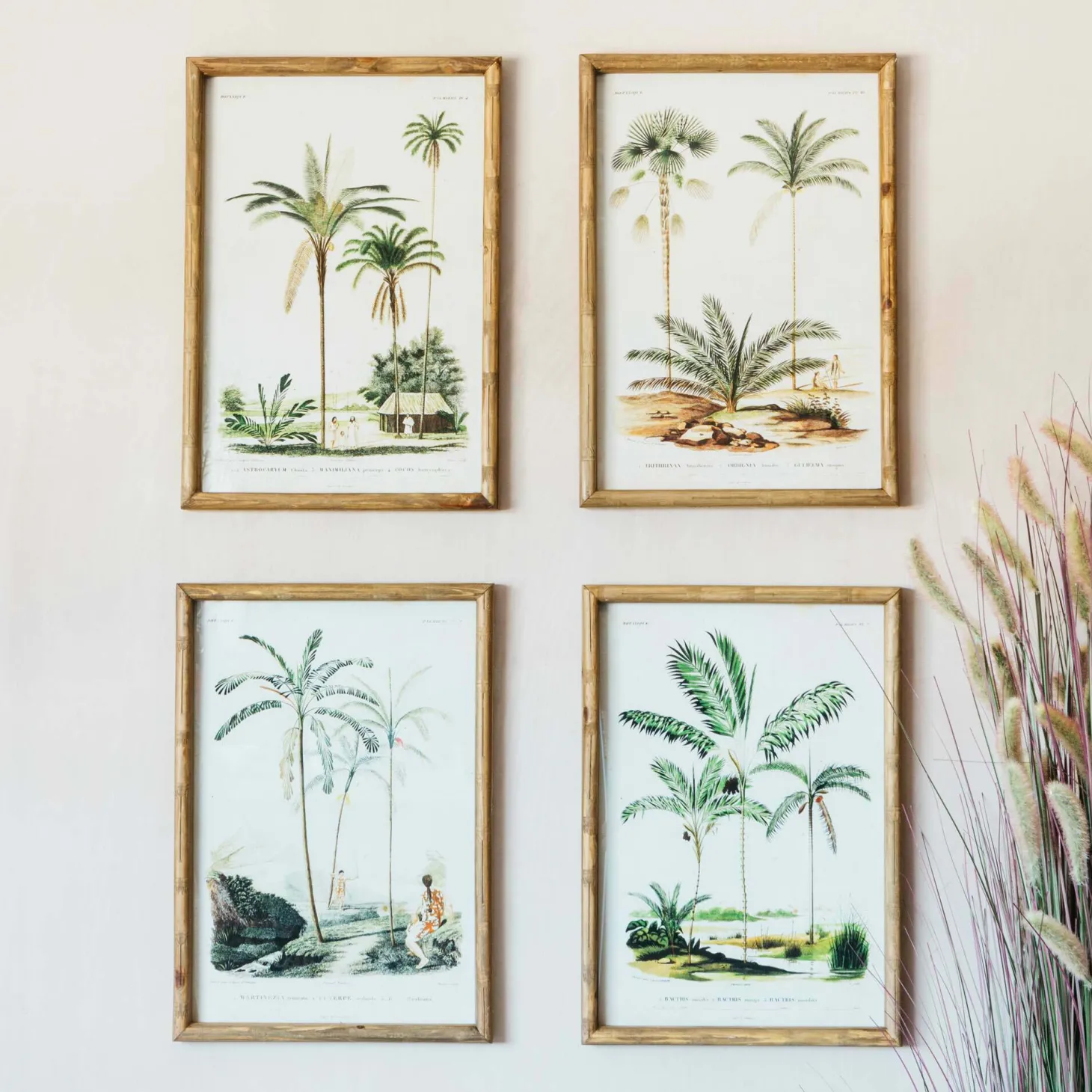 Set of Four Palm Tree Prints