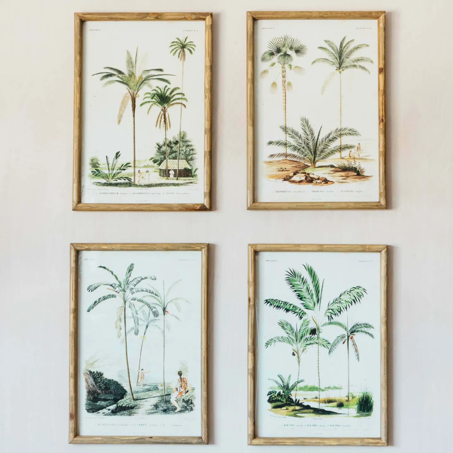 Set of Four Palm Tree Prints