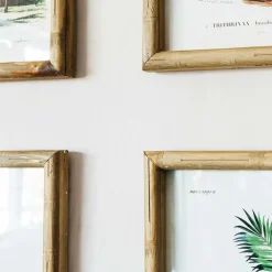 Set of Four Palm Tree Prints