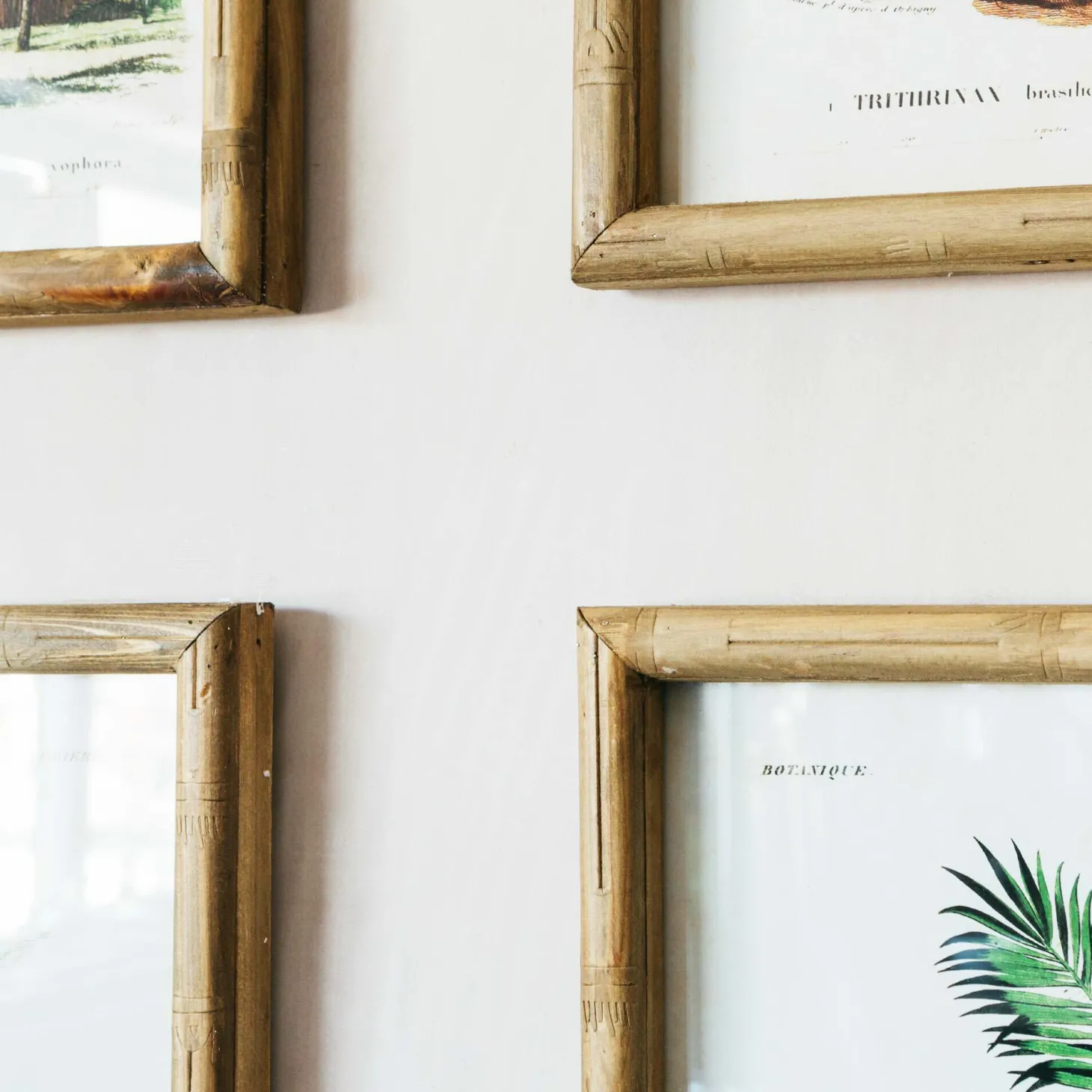 Set of Four Palm Tree Prints