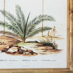 Set of Four Palm Tree Prints