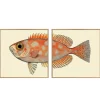 Set of Two Blotched Bigeye Print with Oak Frames