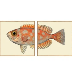Set of Two Blotched Bigeye Print with Oak Frames