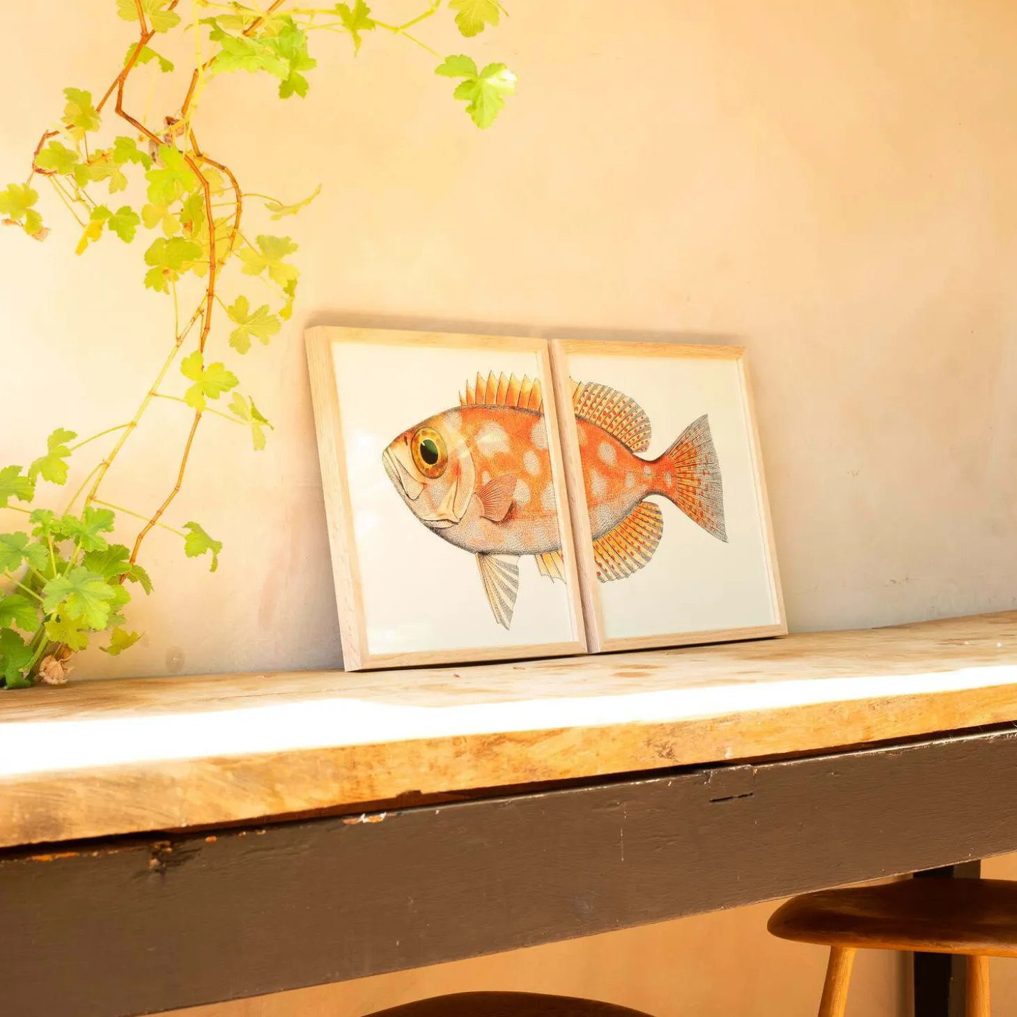 Set of Two Blotched Bigeye Print with Oak Frames