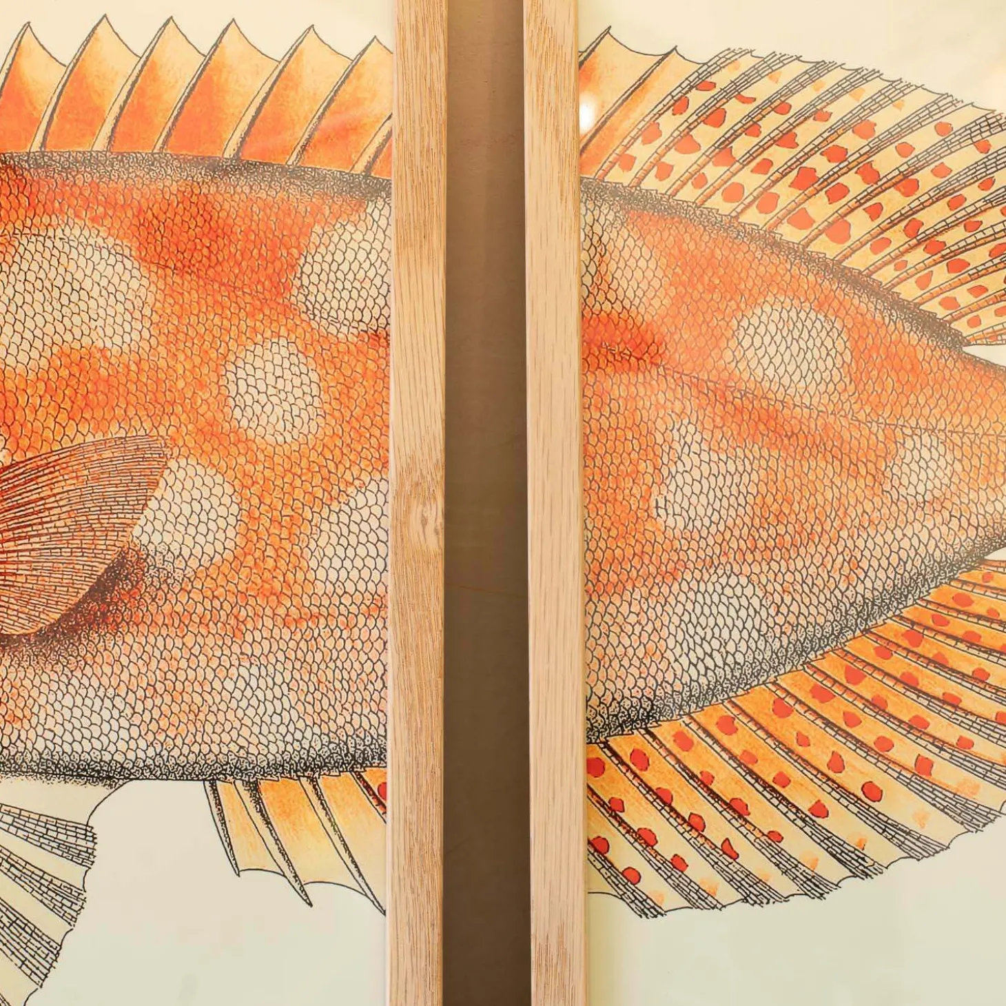 Set of Two Blotched Bigeye Print with Oak Frames