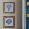 Set of Two Framed Blue Coral Pictures