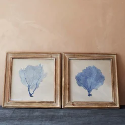 Set of Two Framed Blue Coral Pictures