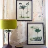 Set of Two Framed Palm Tree Prints