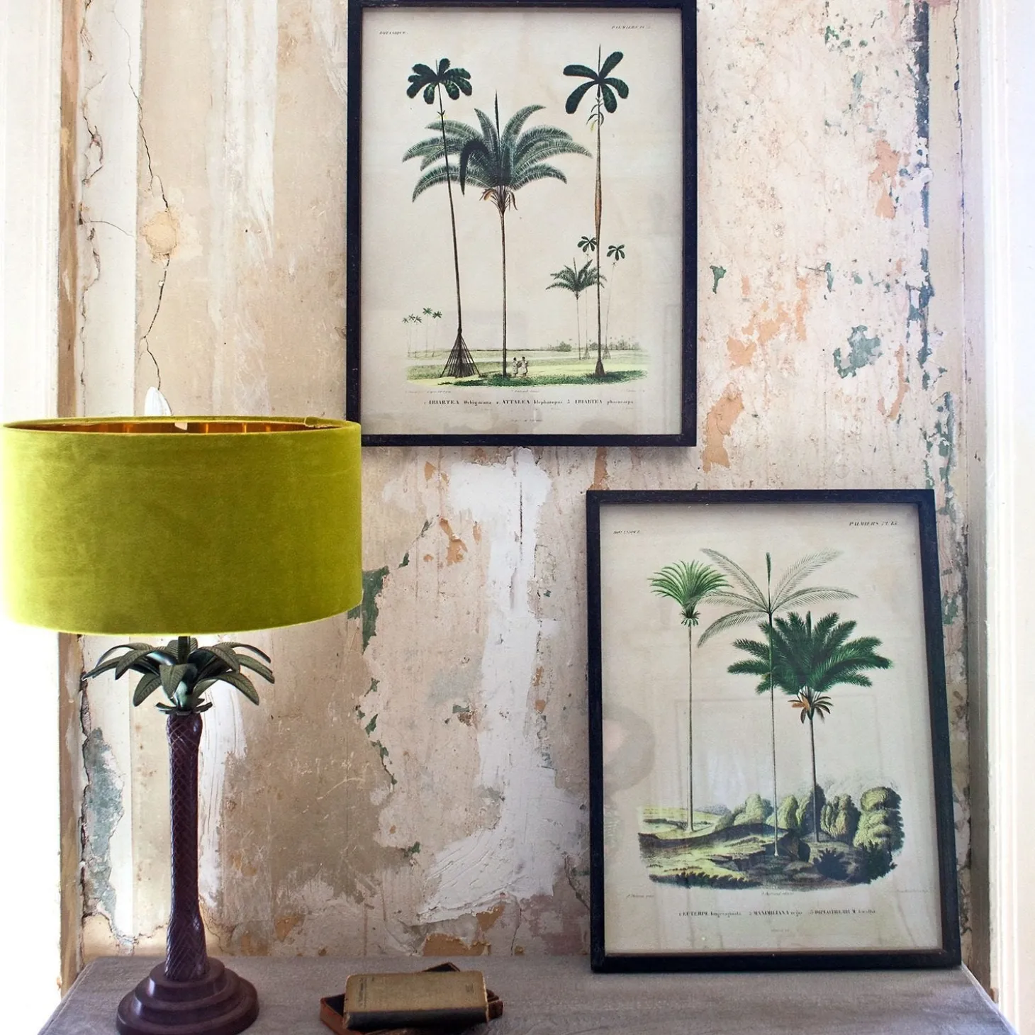 Set of Two Framed Palm Tree Prints