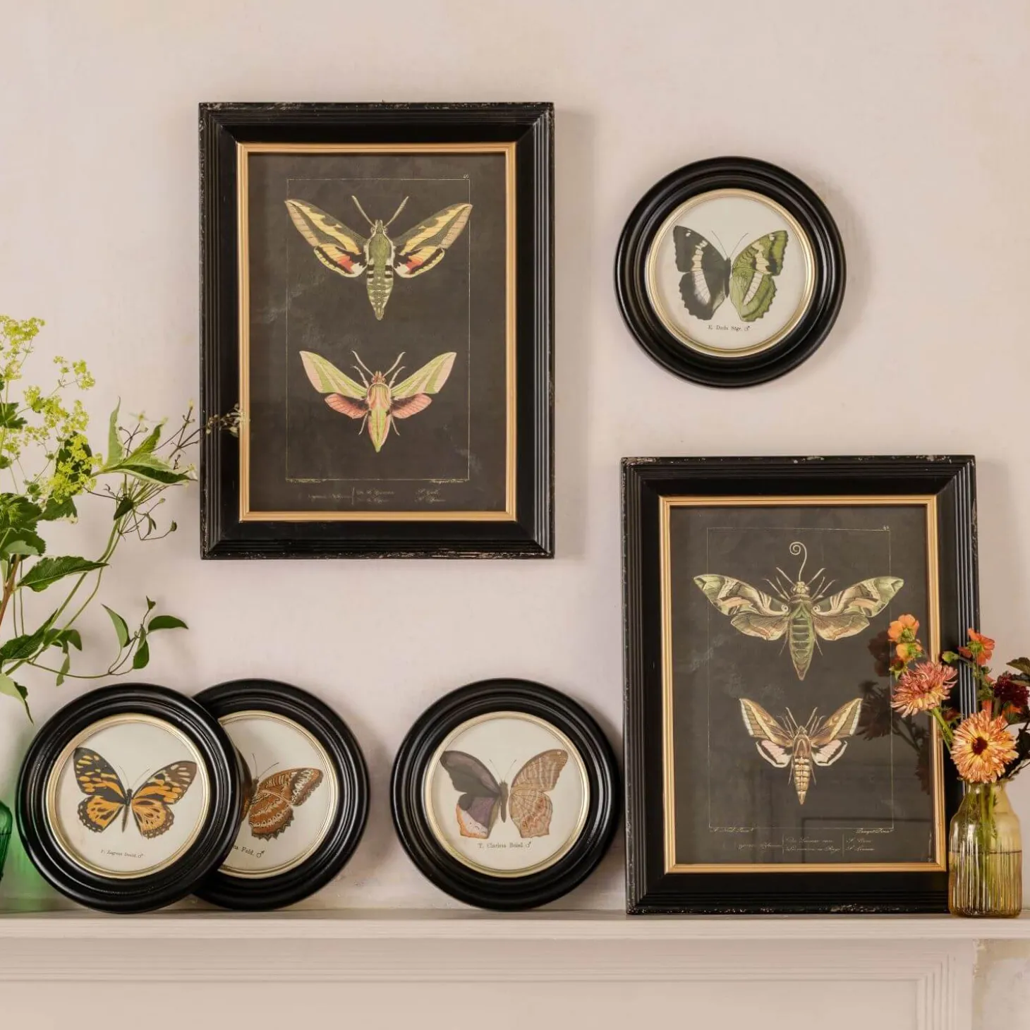 Set of Two Moth Prints