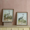 Set of Two Stork Prints
