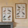 Set of Two Wading Birds Wall Art