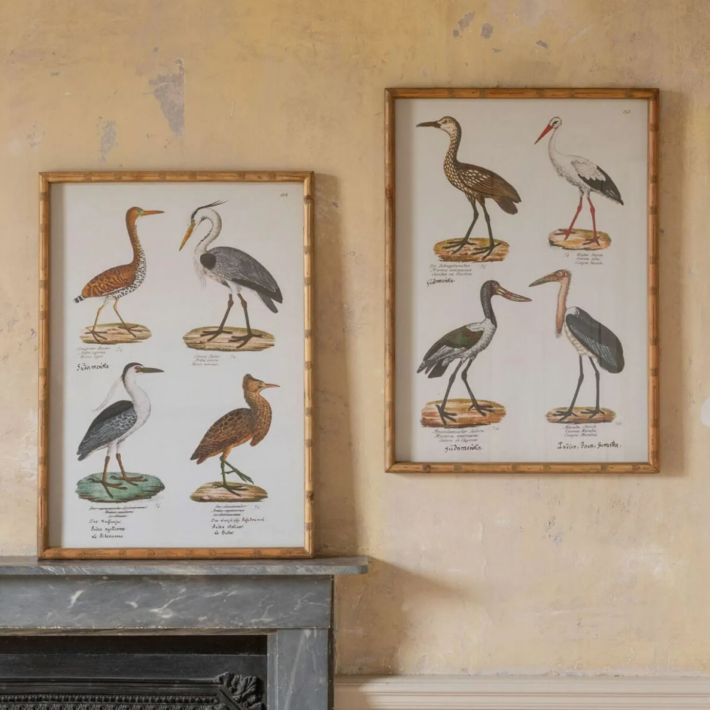 Set of Two Wading Birds Wall Art