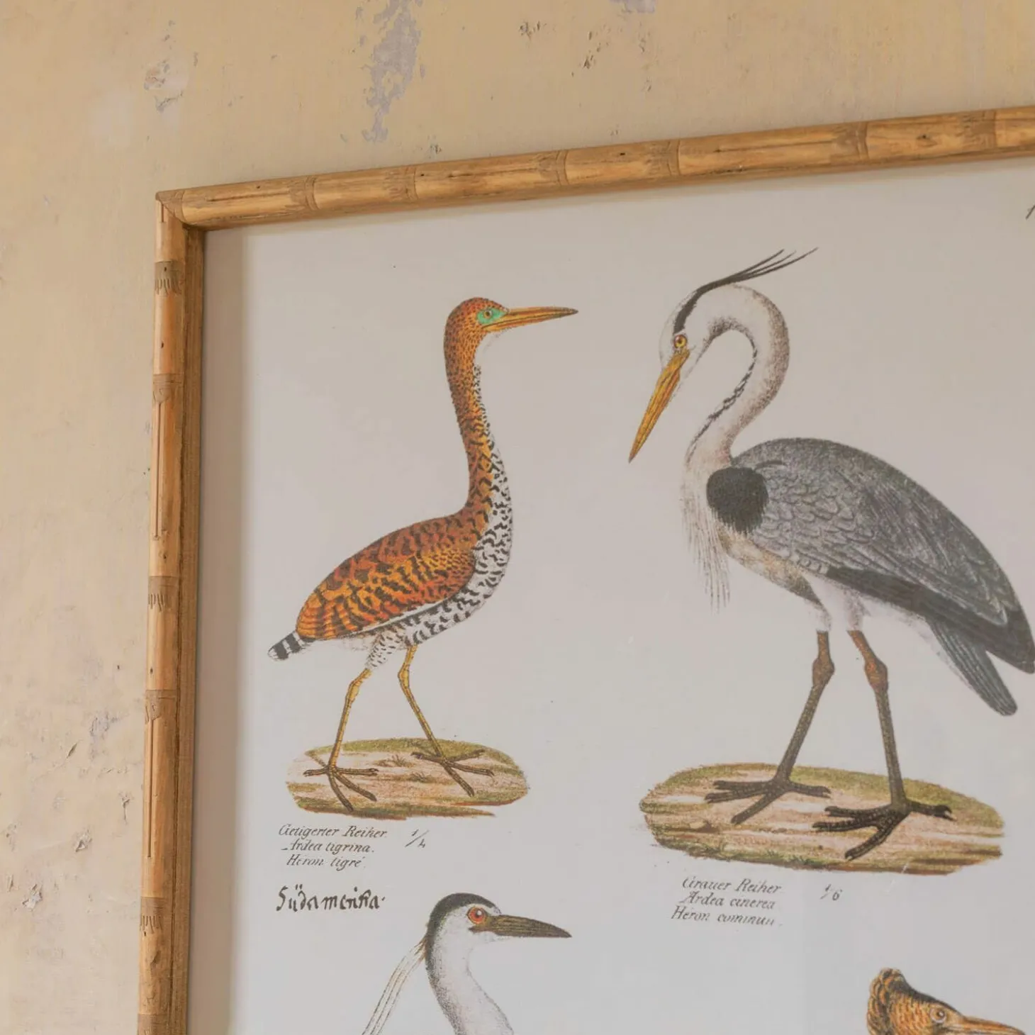 Set of Two Wading Birds Wall Art