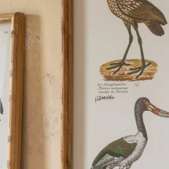 Set of Two Wading Birds Wall Art