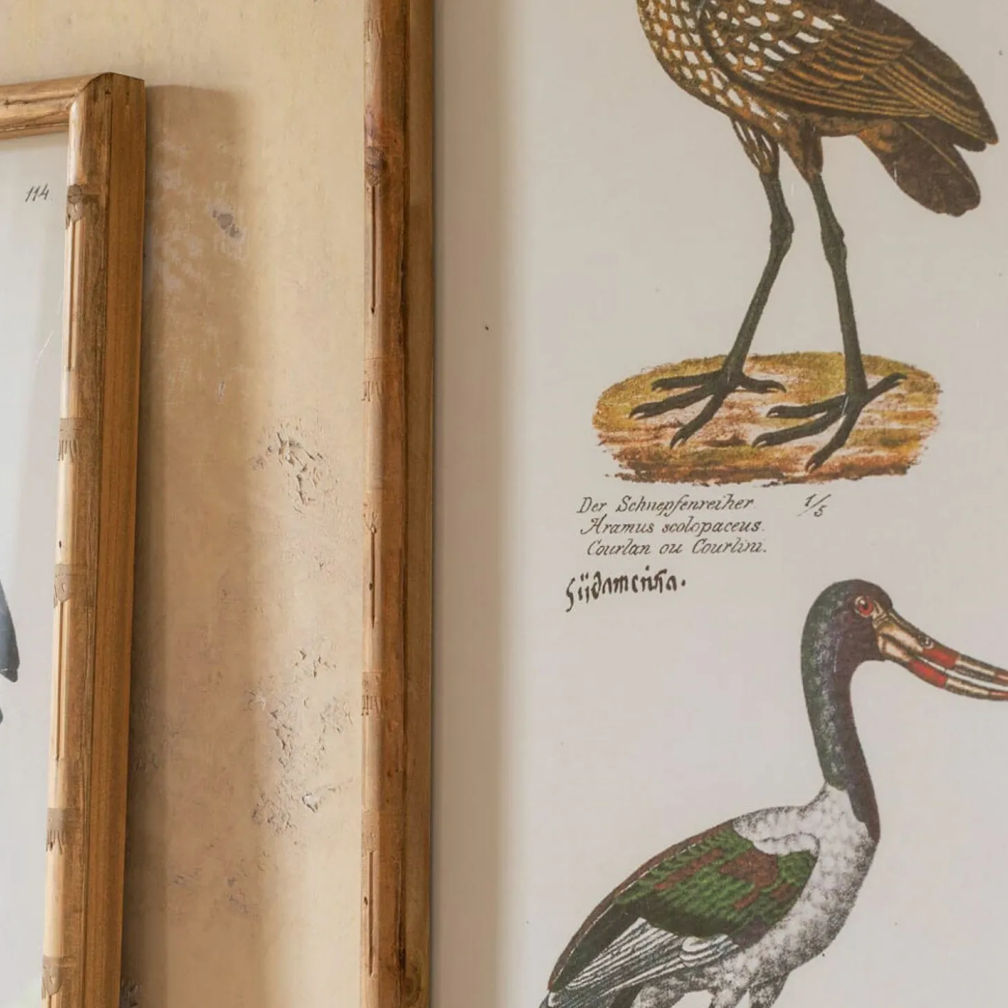 Set of Two Wading Birds Wall Art