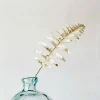 Single Fern Leaf